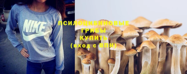 синтетический гашиш Михайлов