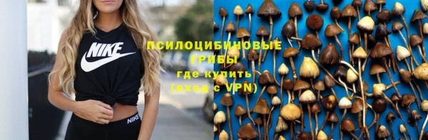 мдпв Михайловка