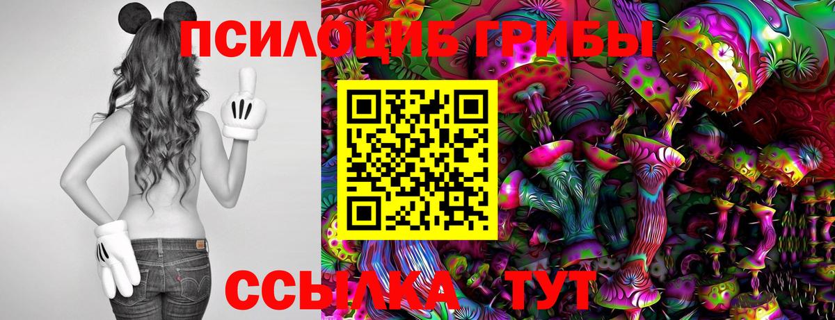 Чебаркуль  Галлюциногенные грибы Cubensis  Вход с VPN 