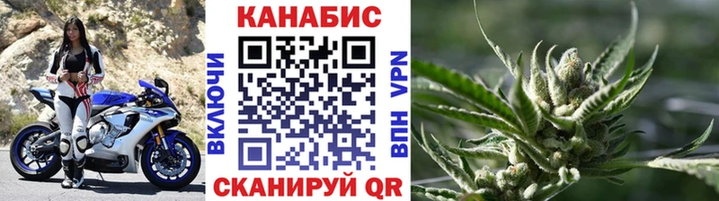 Каннабис OG Kush Чебаркуль